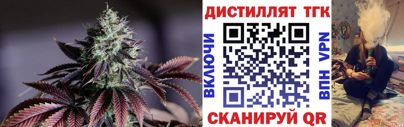 ТГК Wax  Плёс 