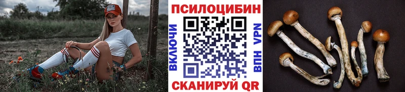 наркошоп  Плёс  Псилоцибиновые грибы мицелий 