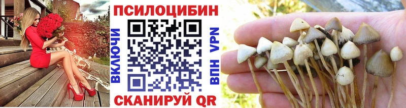 Псилоцибиновые грибы GOLDEN TEACHER Плёс